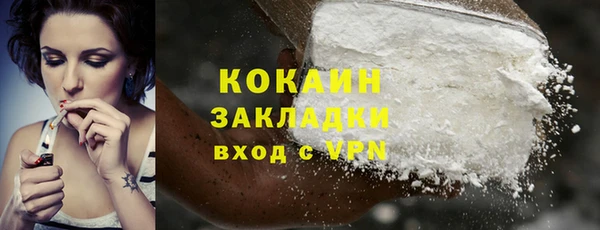 хмурый Нея