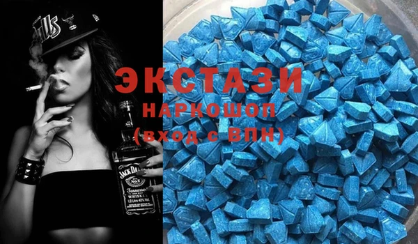 мдпв Новозыбков