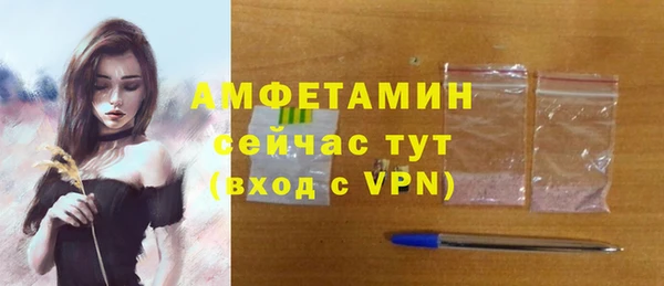 мдпв Новозыбков