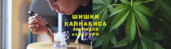 прущая мука Новодвинск