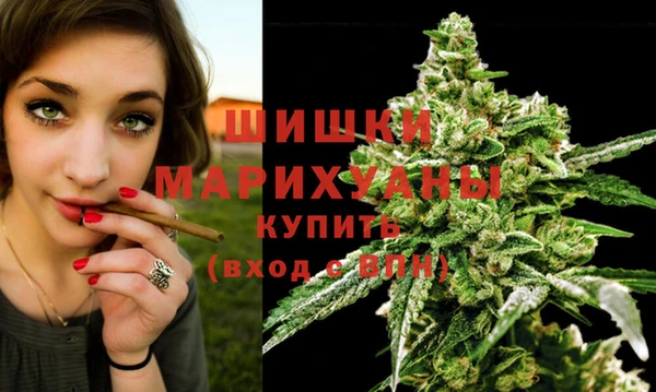ALPHA PVP Покачи