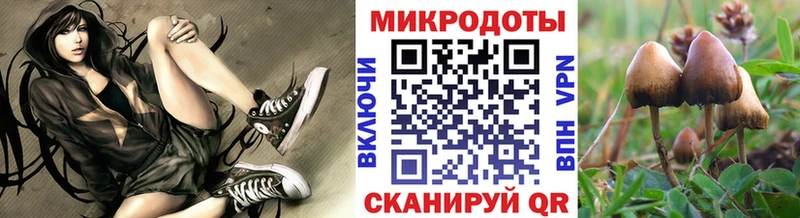 Псилоцибиновые грибы MAGIC MUSHROOMS  Петухово 